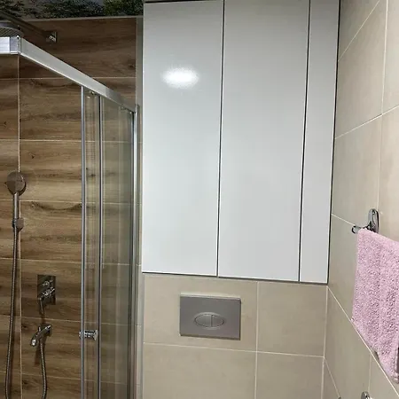 Διαμέρισμα Maksim Banja Koviljača